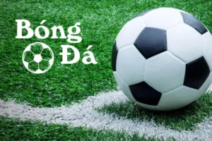 Phân Tích Quy Tắc Bóng Trong Cuộc Và Bóng Ngoài Cuộc Chuẩn