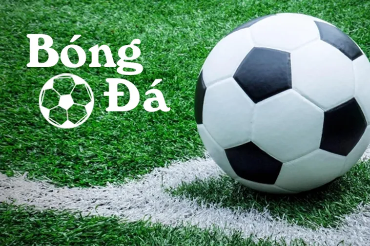 Phân Tích Quy Tắc Bóng Trong Cuộc Và Bóng Ngoài Cuộc Chuẩn