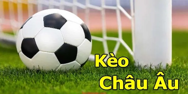 Bí Quyết Và Cách Chơi Kèo Châu Âu Hiệu Quả Cho Người Mới