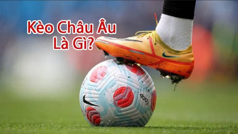 Bí Quyết Và Cách Chơi Kèo Châu Âu Hiệu Quả Cho Người Mới