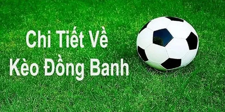 Cách Chơi Kèo Đồng Banh Và Những Lưu Ý Quan Trọng Từ Chuyên Gia