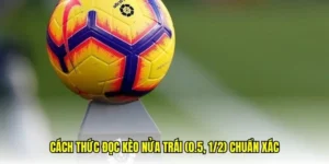 Bí Quyết Chinh Phục Cách Chơi Kèo Chấp 0.5 Đầy Hiệu Quả