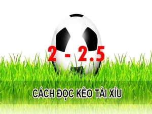 Hướng Dẫn Cách Chơi Kèo 2.25 Trong Cá Cược Bóng Đá