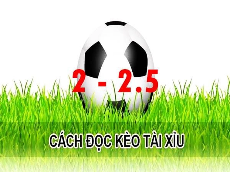 Hướng Dẫn Cách Chơi Kèo 2.25 Trong Cá Cược Bóng Đá