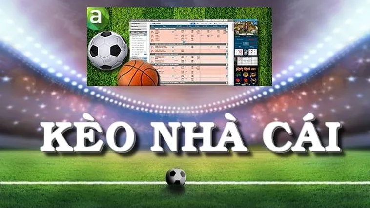 Hướng Dẫn Chi Tiết Cách Đọc Các Loại Kèo Bóng Đá Phổ Biến