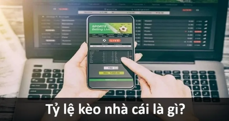 Hướng Dẫn Chi Tiết Cách Đọc Các Loại Kèo Bóng Đá Phổ Biến