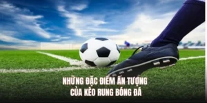 Hướng Dẫn Cách Chơi Kèo Rung Trong Bóng Đá Hiệu Quả Nhất